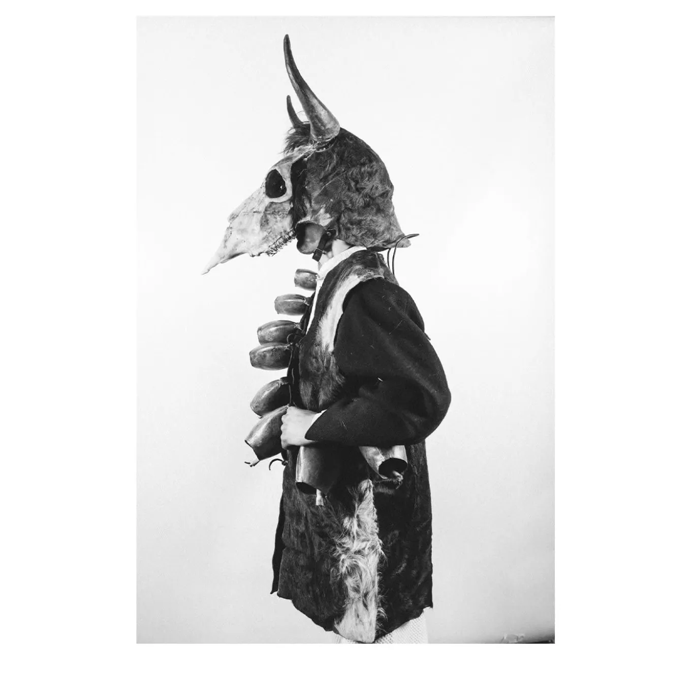 Savage Fool Bear Fotografia #03