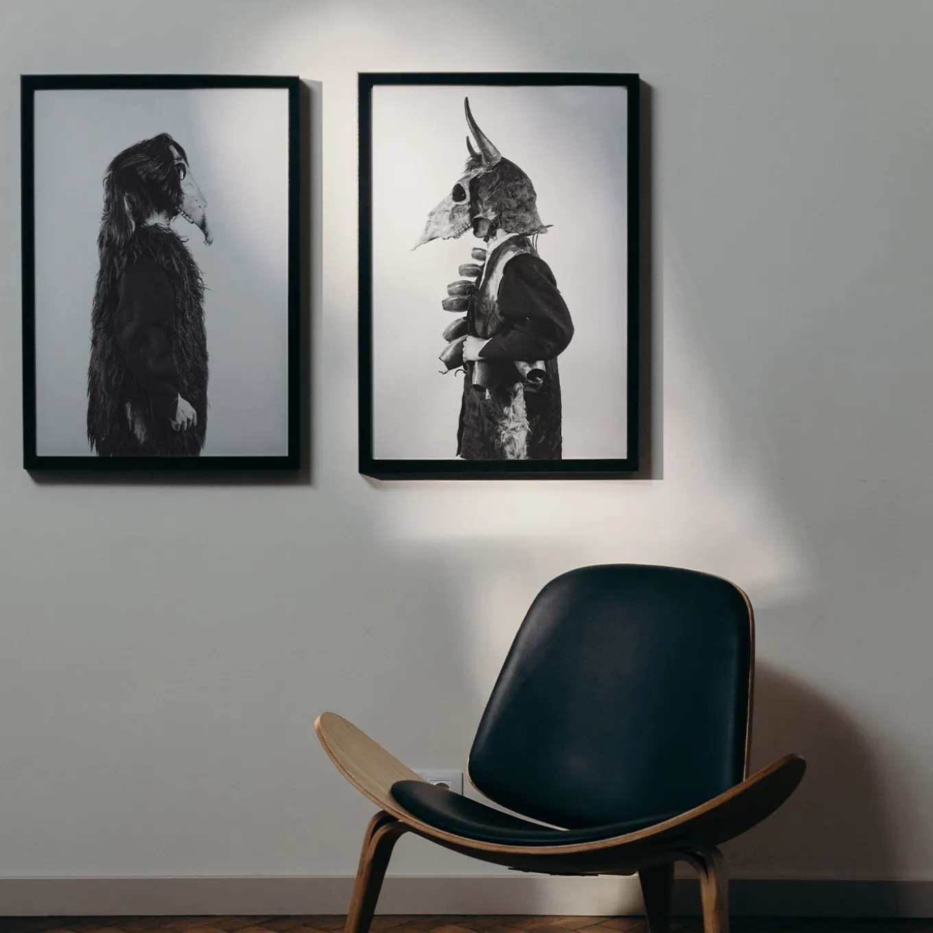 Savage Fool Bear Fotografia #03