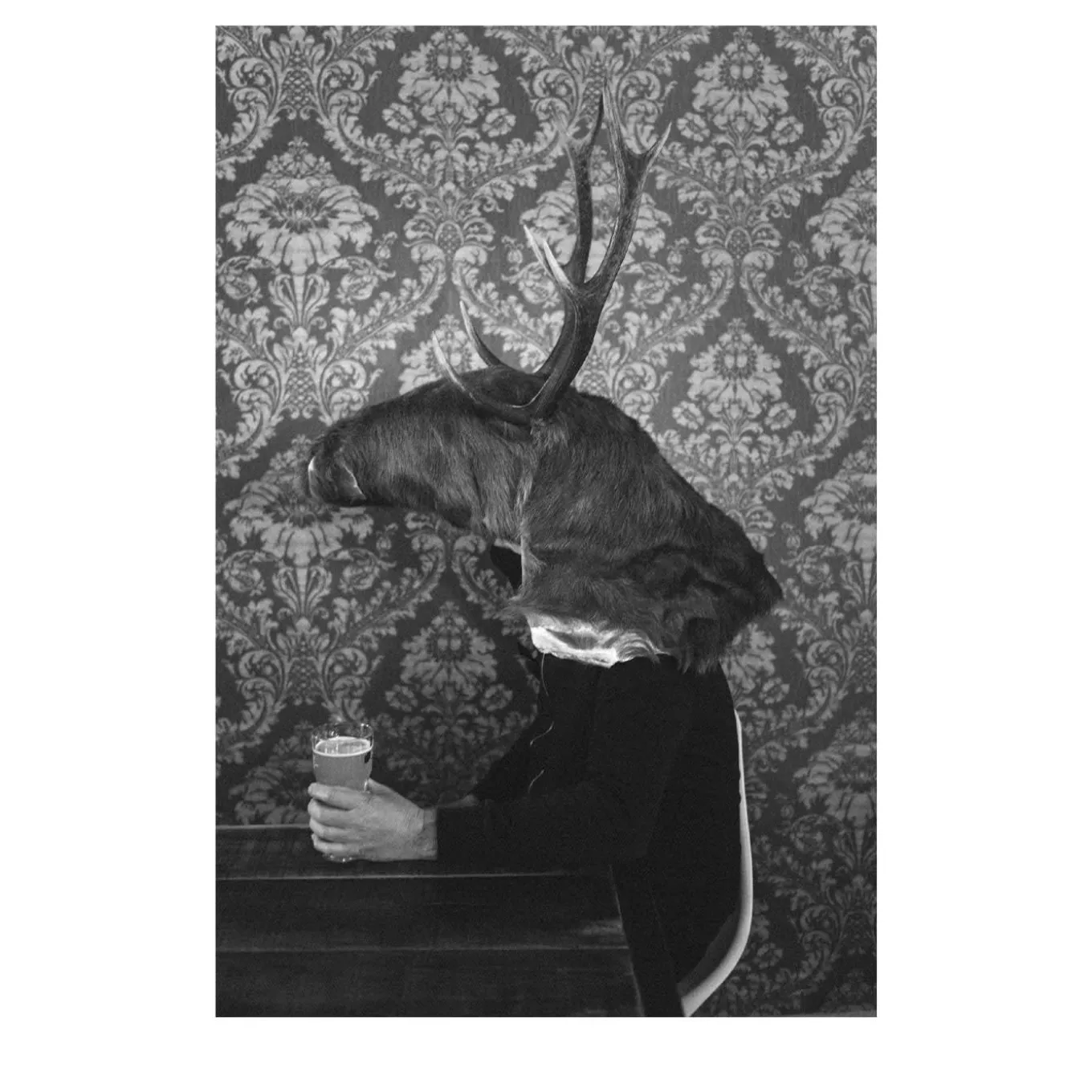 Savage Fool Bear Fotografia #04