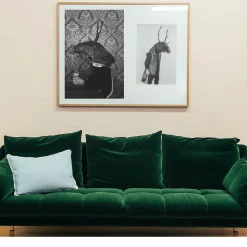 Savage Fool Bear Fotografia #04