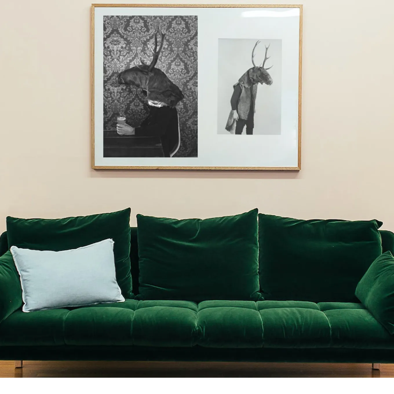 Savage Fool Bear Fotografia #04