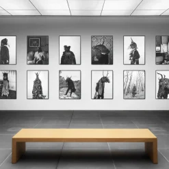 Savage Fool Bear Fotografia #04