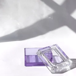 Scatola In Cristallo Palmina