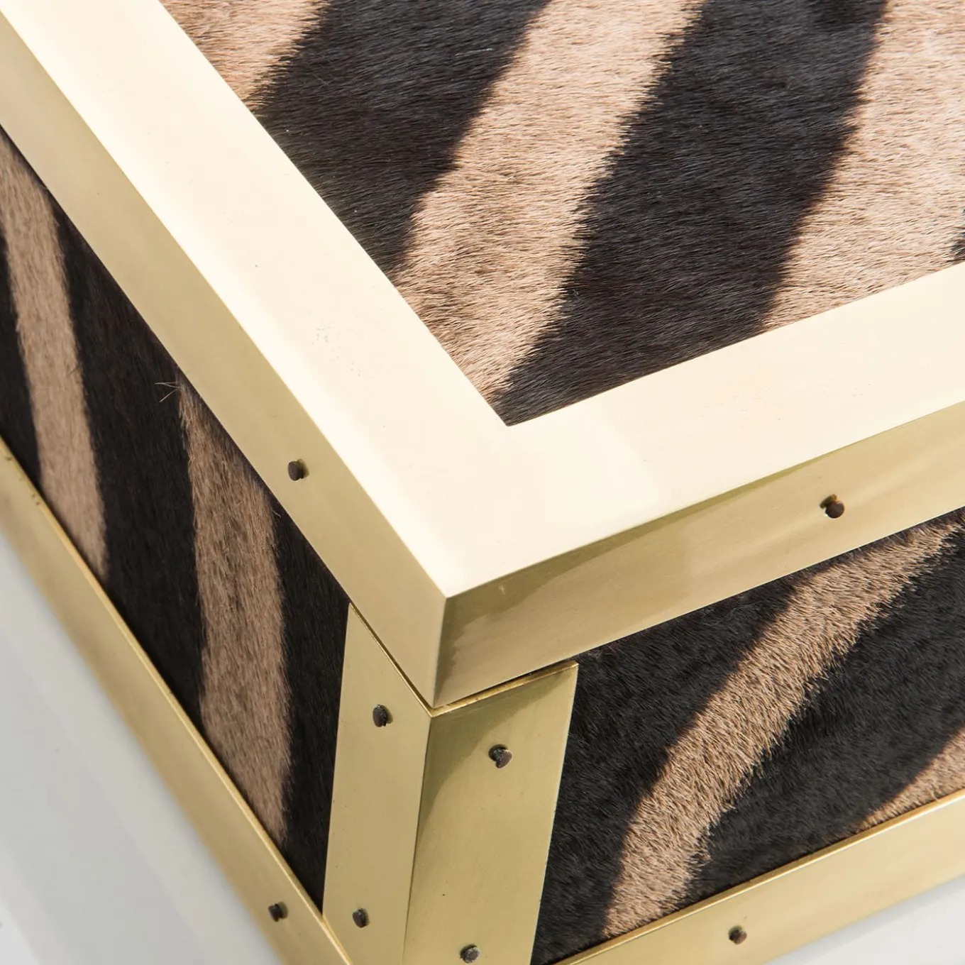 Scatola in Pelle di Zebra e Ottone Memories