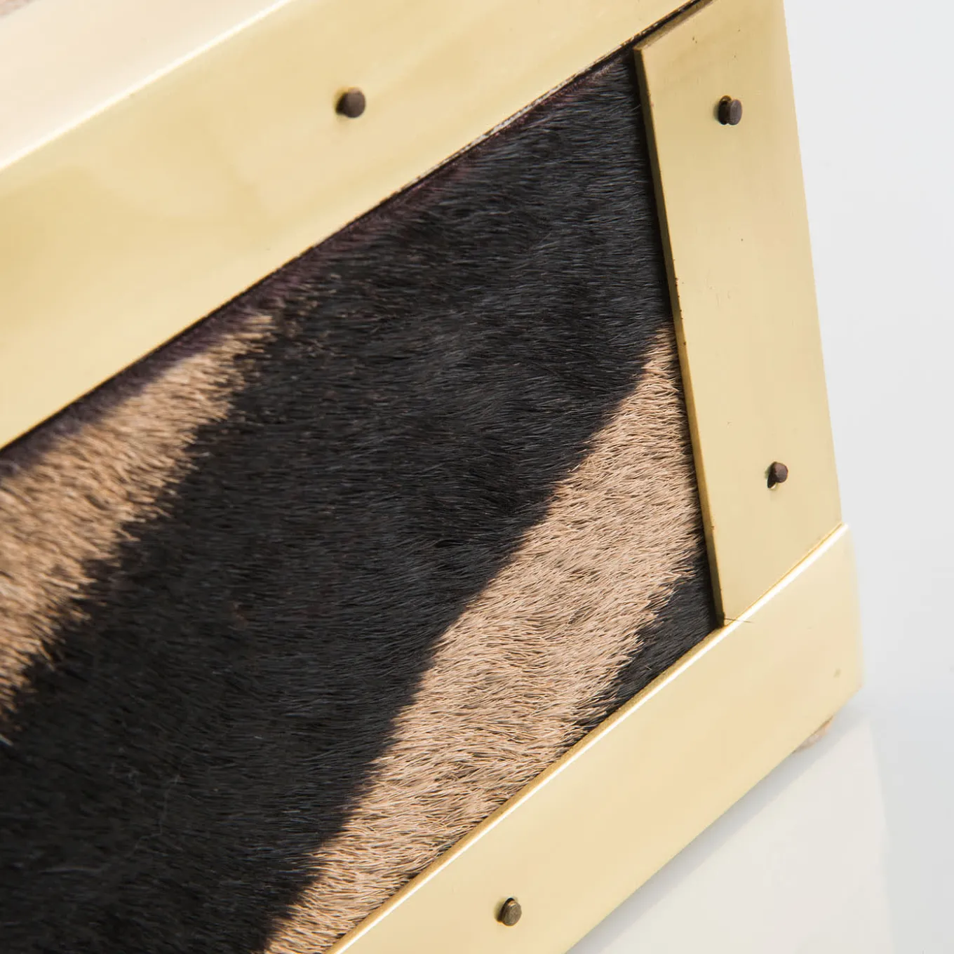 Scatola in Pelle di Zebra e Ottone Memories