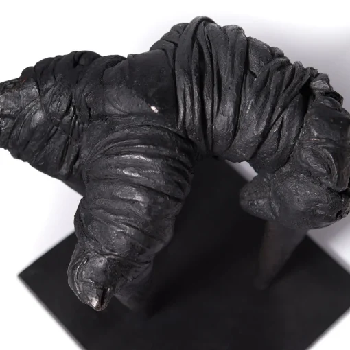 Scultura Avoidance