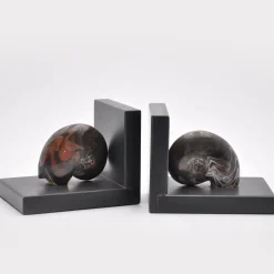 Scultura di fermalibri fossili #2 di Nino Basso