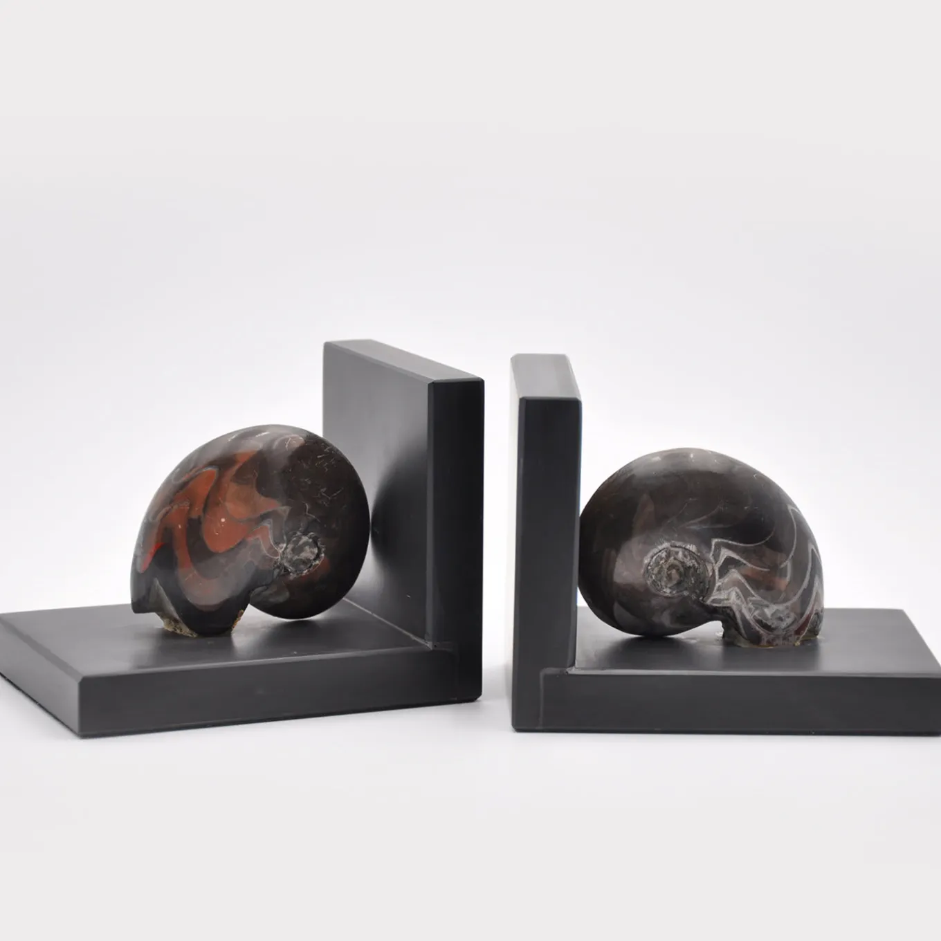 Scultura di fermalibri fossili #2 di Nino Basso