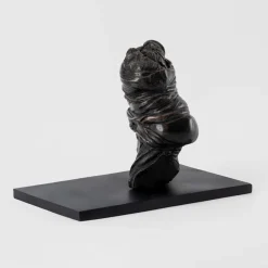 Scultura gravidic