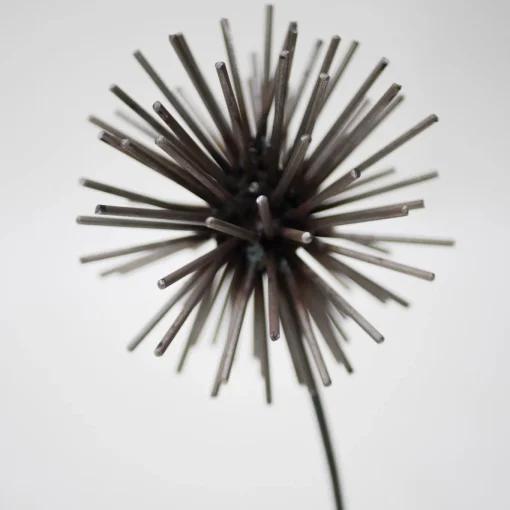 Scultura Il Soffione
