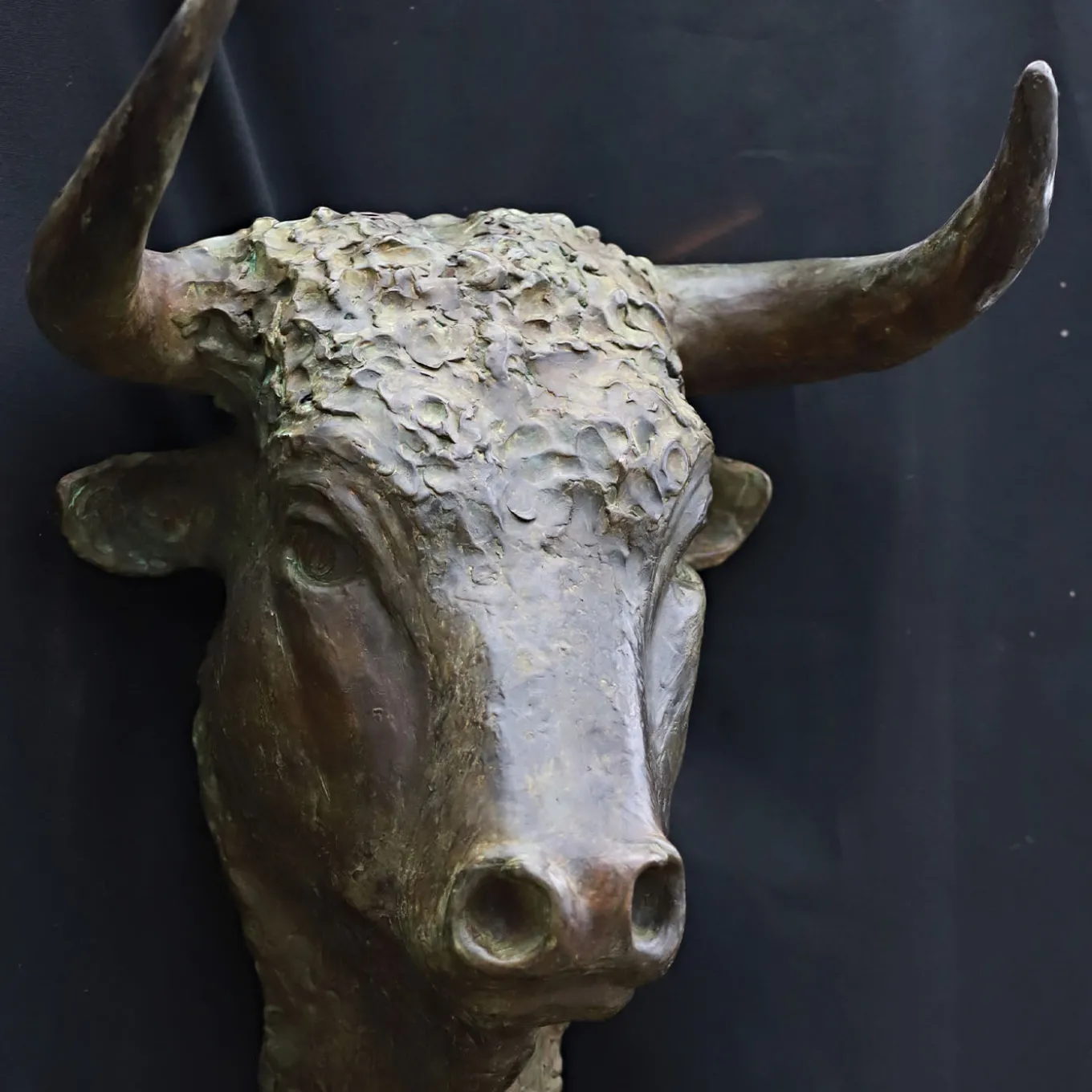Scultura in bronzo Testa di Toro