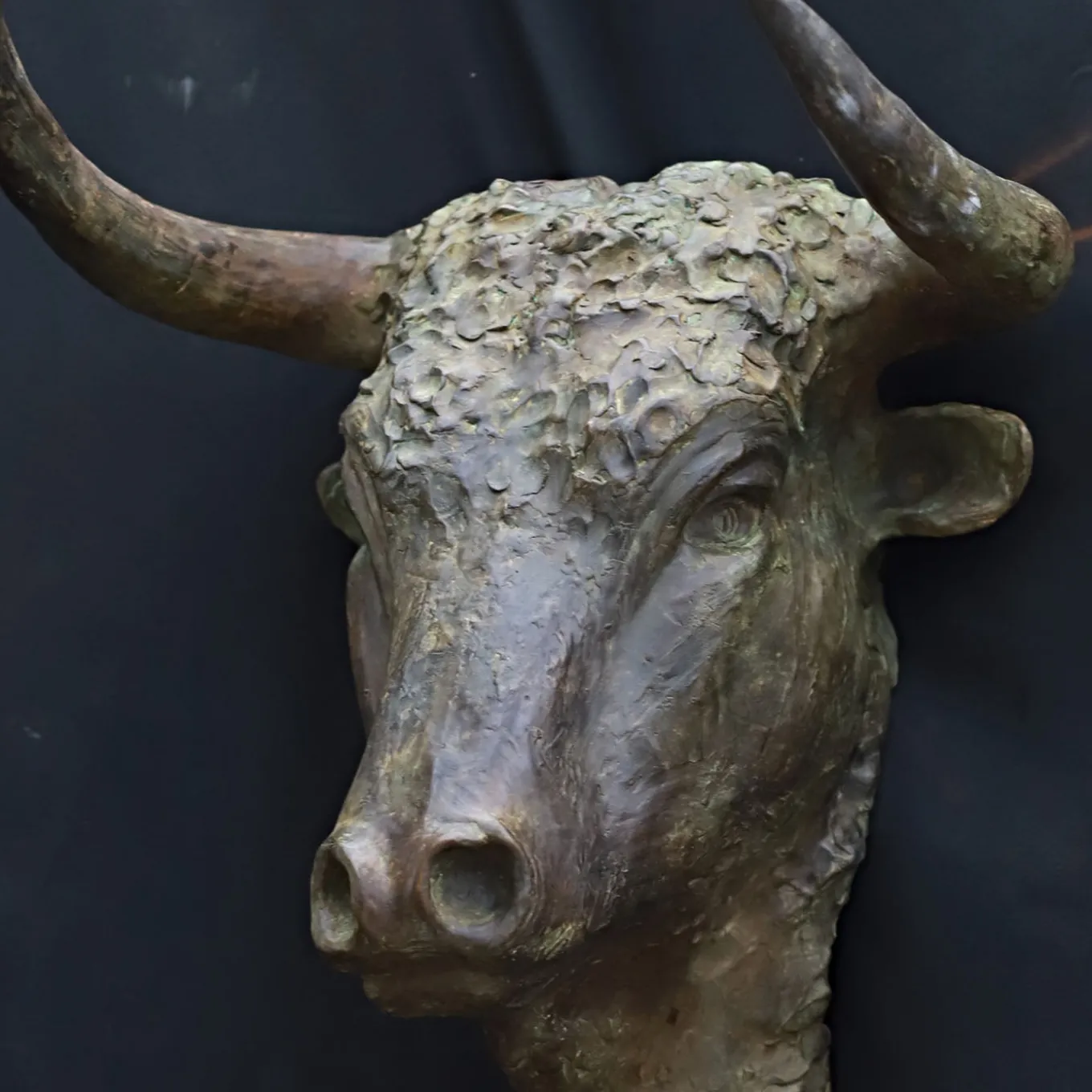 Scultura in bronzo Testa di Toro