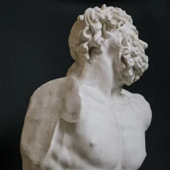 Scultura in gesso di Laocoonte