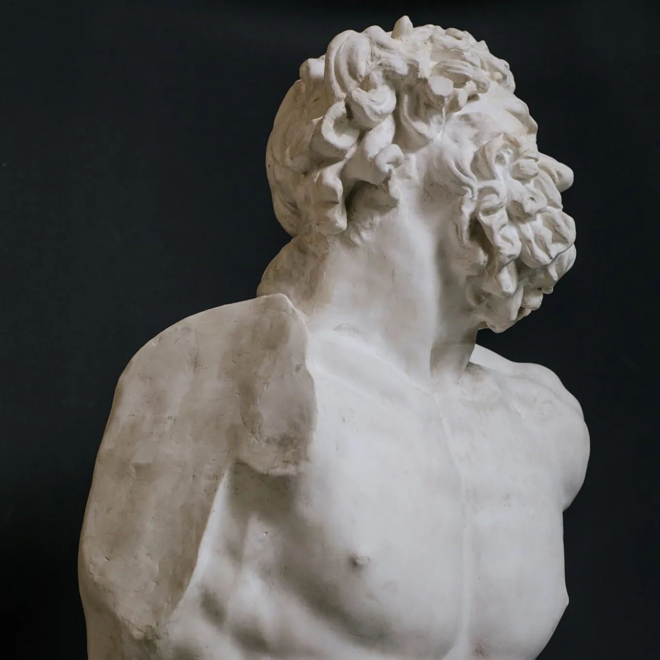 Scultura in gesso di Laocoonte