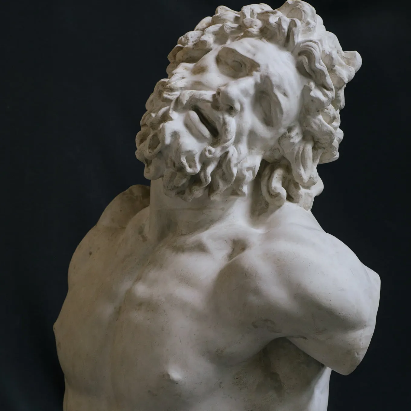 Scultura in gesso di Laocoonte