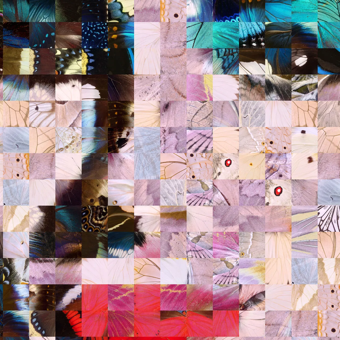 Serie di stampe pop Liz Puzzling 2019