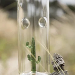 Set di 4 bicchieri e brocca con cactus