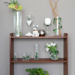 Set di 4 bicchieri e brocca con cactus