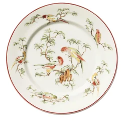 Set di 4 Piatti Piani Pappagallini