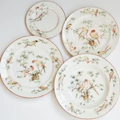 Set di 4 Piatti Piani Pappagallini