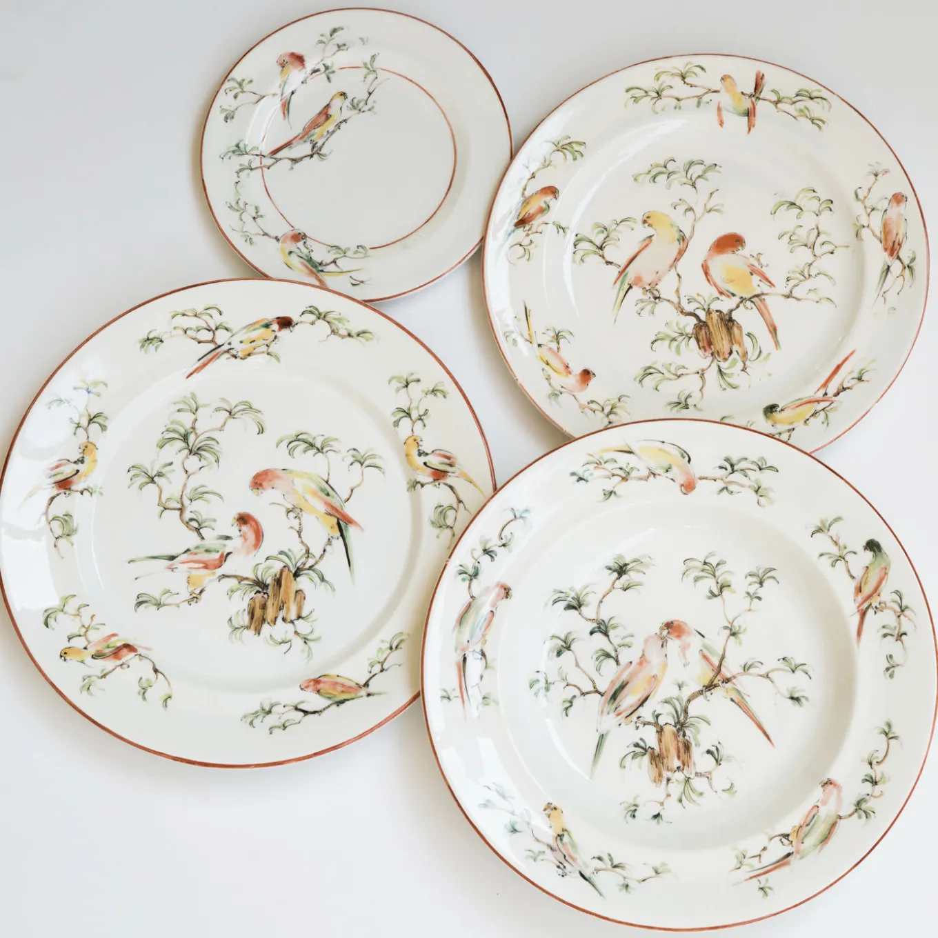 Set di 4 Piatti Piani Pappagallini