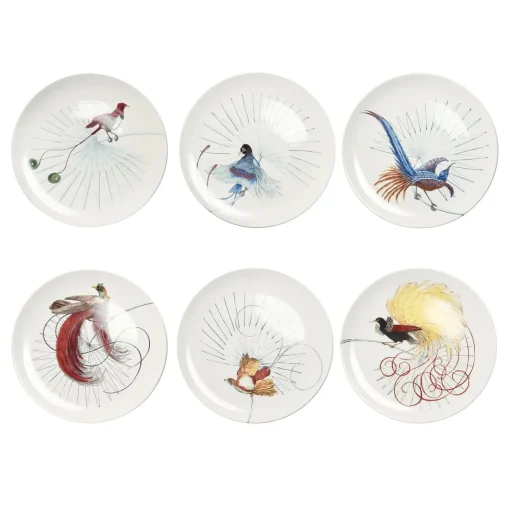 Set di 6 Piatti Piani Uccelli del Paradiso Bianchi