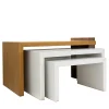 SET DI 3 TAVOLINI IN STILE NIDIFICANTE