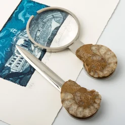 Set di coltelli di carta e lenti d'ingrandimento Fossiline di Nino Basso #4