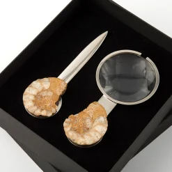 Set di coltelli di carta e lenti d'ingrandimento Fossiline di Nino Basso #4