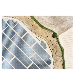 SIM_EF_MDC_0082-3 Fotografia