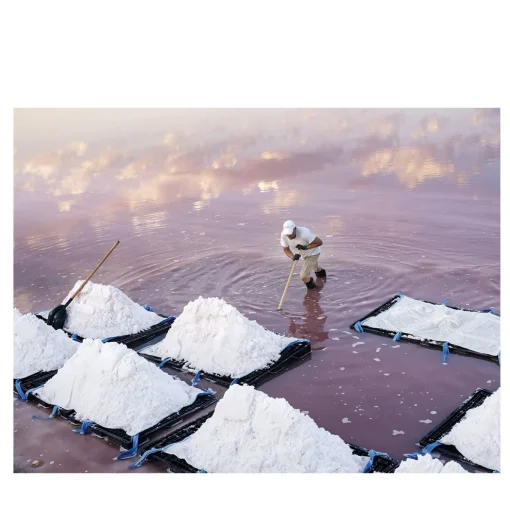 Stampa d'arte del sale #1