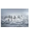 Stampa fotografica sulle dune di neve