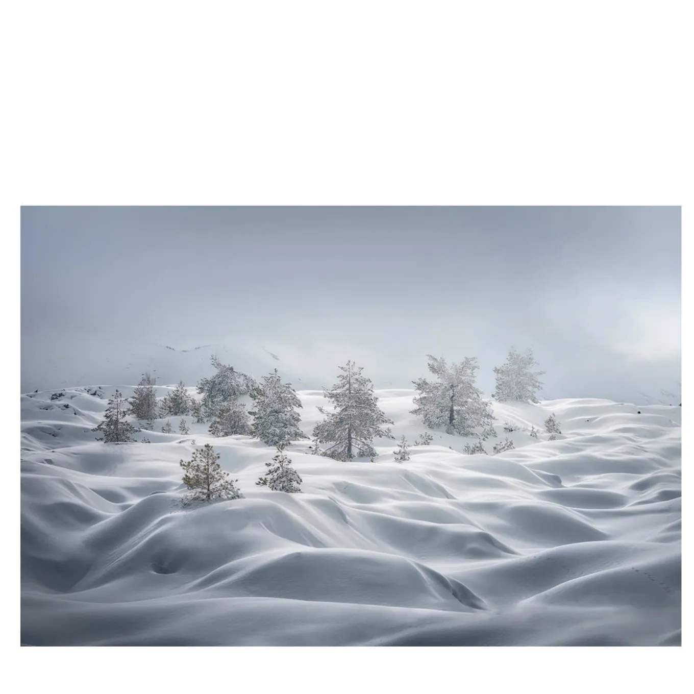 Stampa fotografica sulle dune di neve