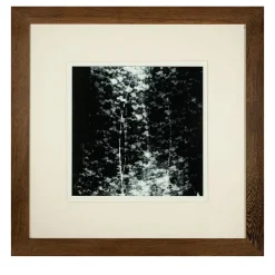 Trame Svelate Serigrafia #2