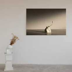 Tulipani a Fara Fotografia in edizione limitata