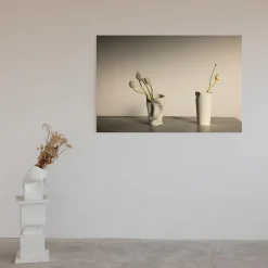 Tulipani a Vicenza Fotografia in edizione limitata