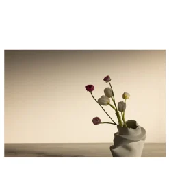 Tulipani e ranuncoli a Pove Fotografia in edizione limitata