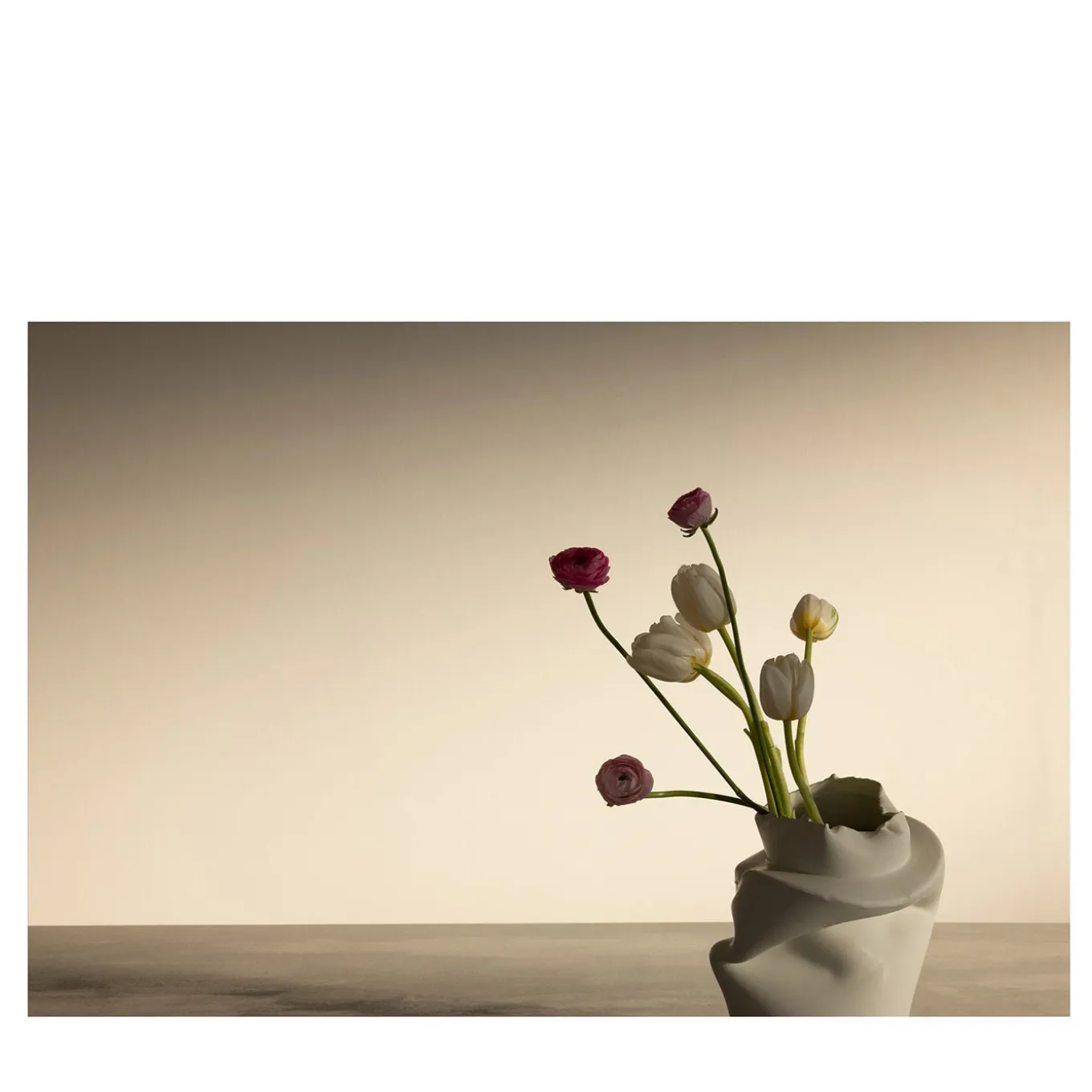Tulipani e ranuncoli a Pove Fotografia in edizione limitata