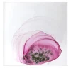 UN.limited Pittura #2