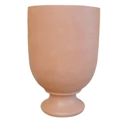 Vaso di anemoni