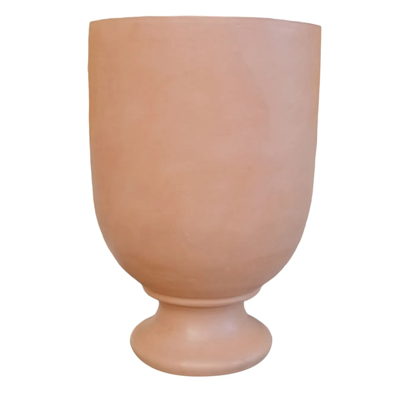 Vaso di anemoni