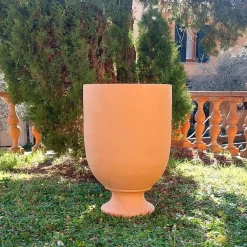 Vaso di anemoni