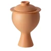 Vaso di erbe arancione Graal