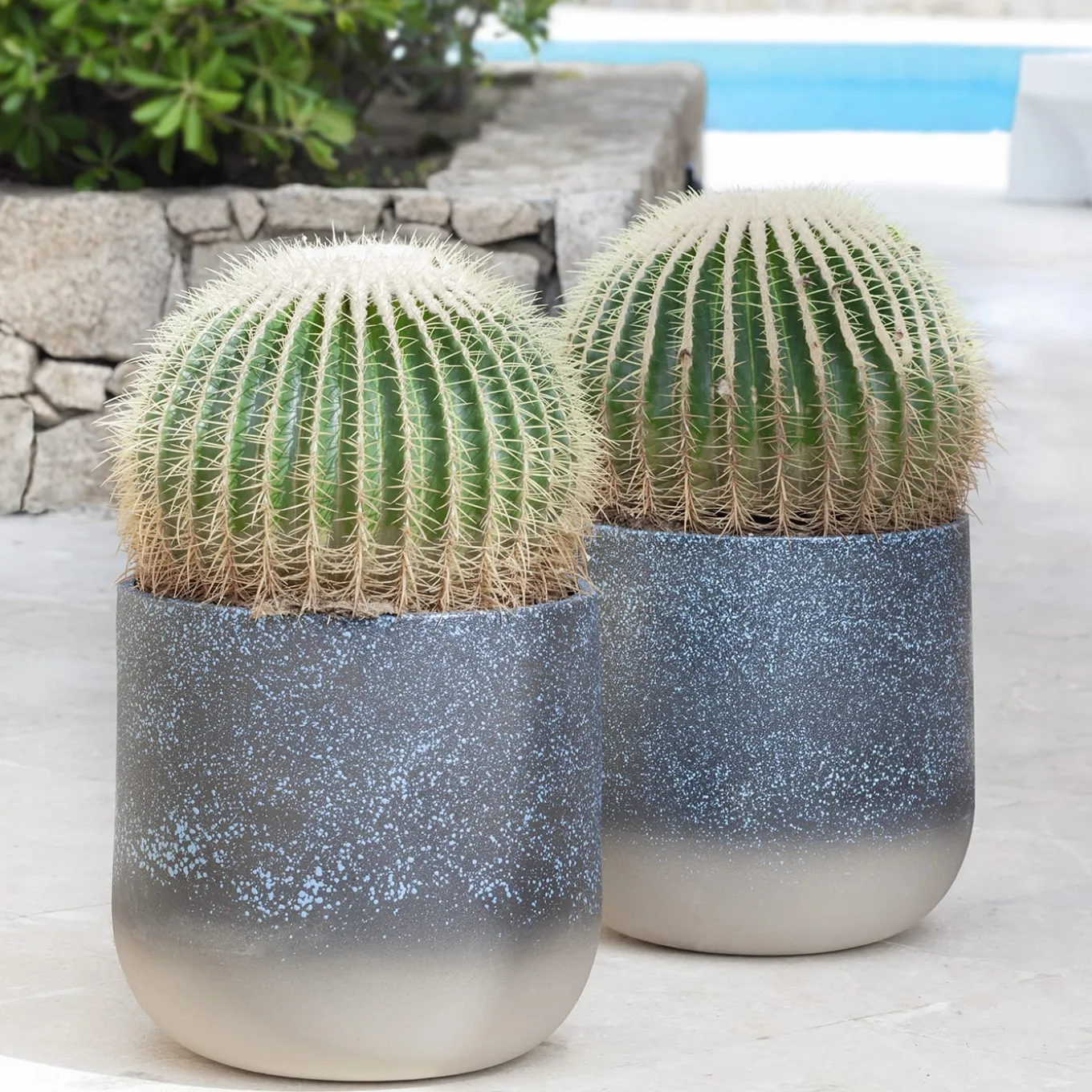 Vaso di Porto Cervo