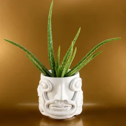 Vaso Eye Bianco