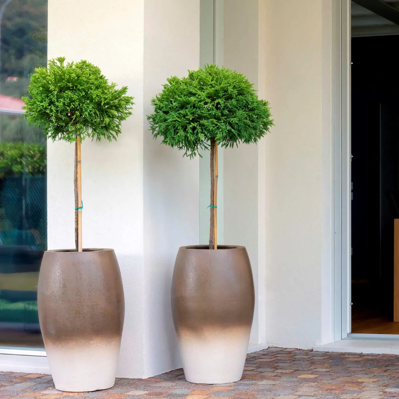 Vaso Lerici Brown