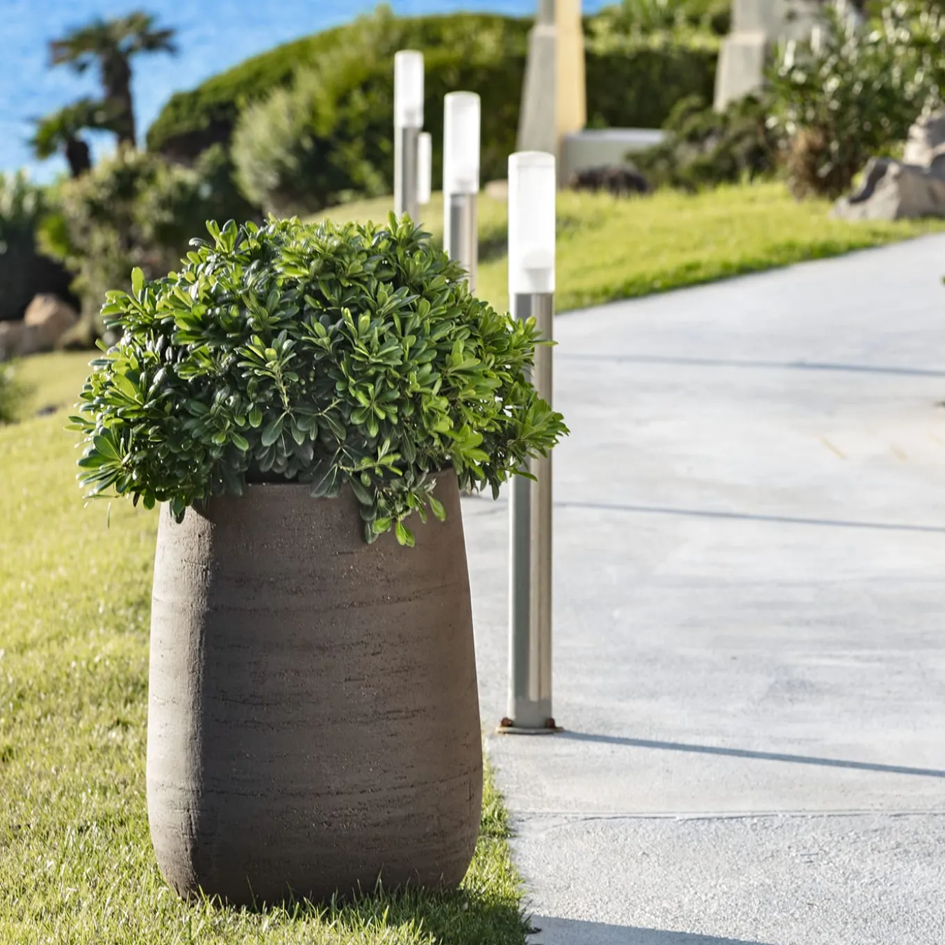 Vaso Panarea Brown