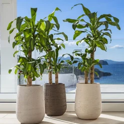 Vaso Panarea Brown