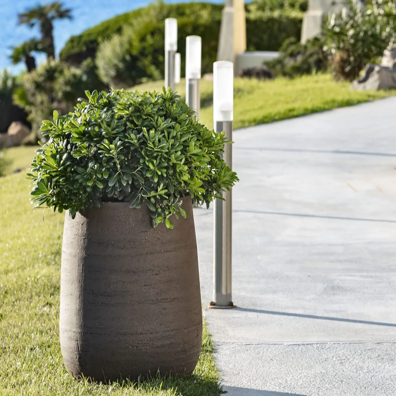 Vaso Panarea Brown