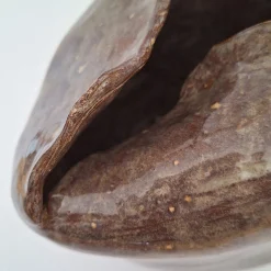 Vaso Petalo 2 in Ceramica Marrone a Forma di Petalo